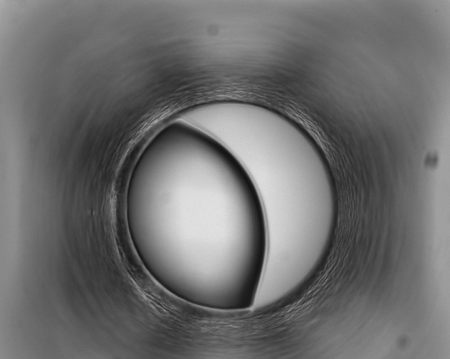 X0000099420626200805090751