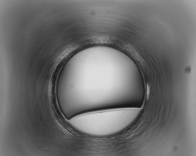 X0000099420627200805090751