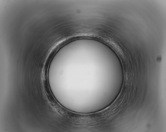 X0000099420628200805090751