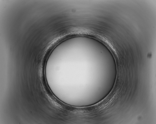 X0000099420629200805090751