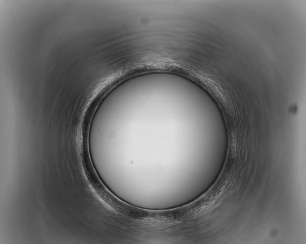 X0000099420630200805090751