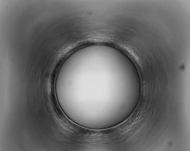 X0000099420631200805090751