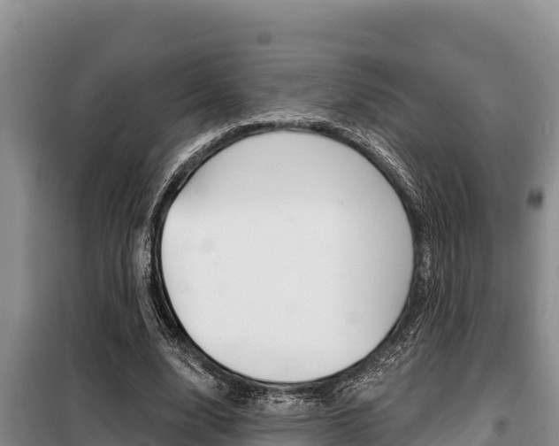 X0000099420632200805090751