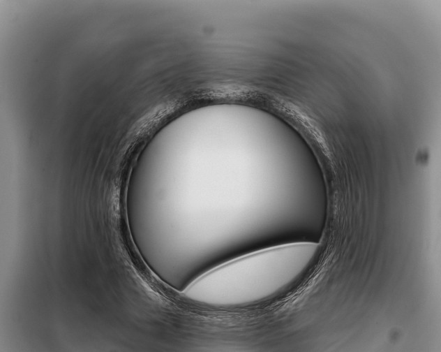 X0000099420633200805090751