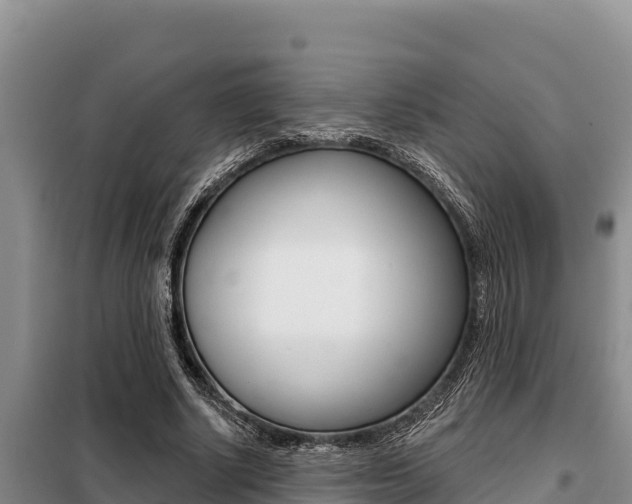X0000099420634200805090751