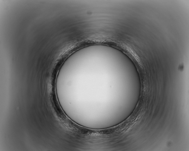 X0000099420635200805090751