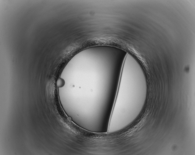 X0000099420637200805090752