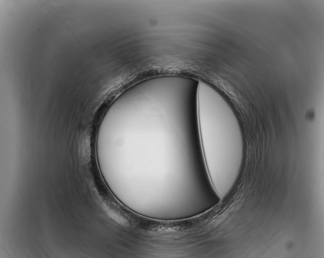 X0000099420638200805090752