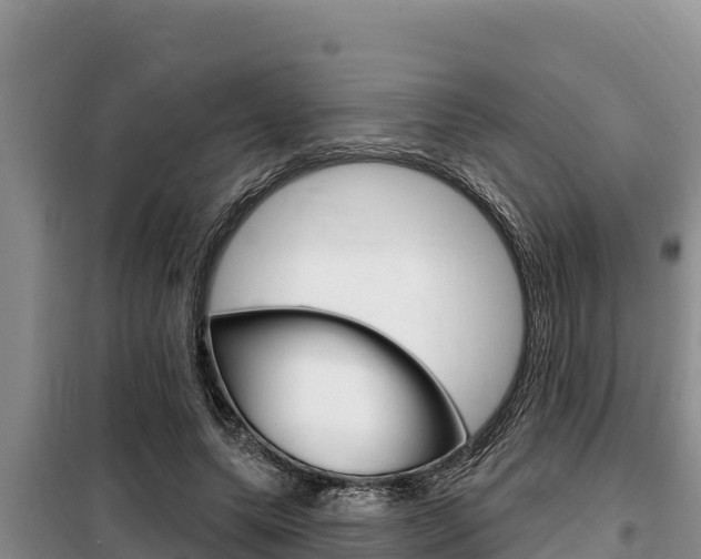 X0000099420639200805090752