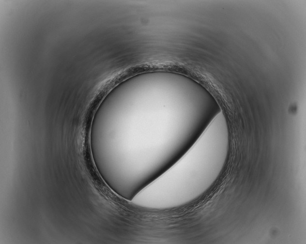 X0000099420640200805090752