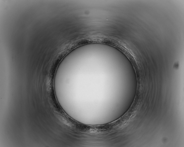 X0000099420641200805090752