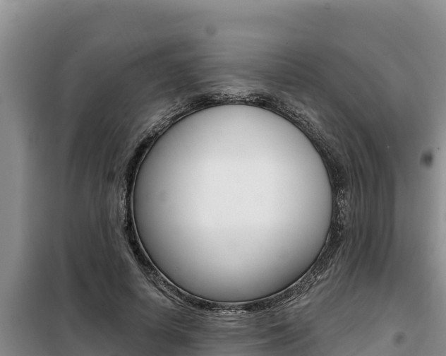X0000099420642200805090752