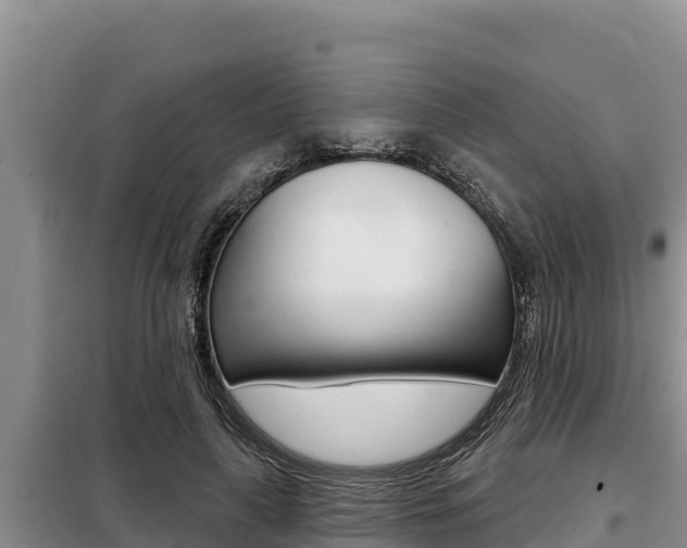X0000099420643200805090752
