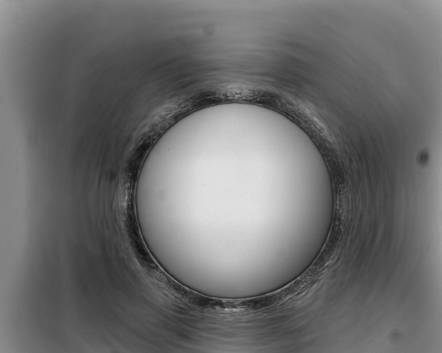 X0000099420645200805090752