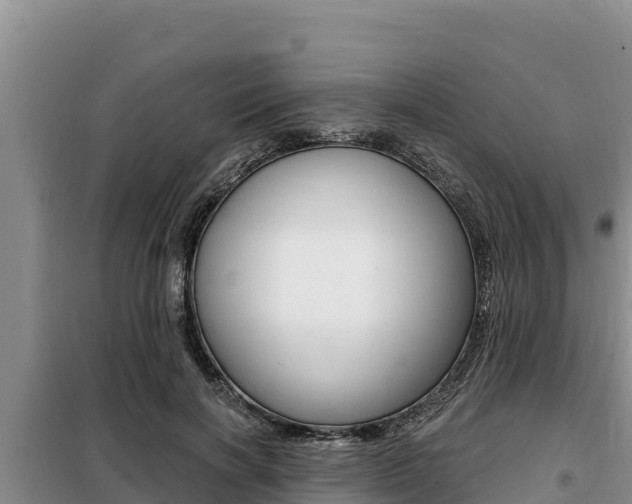 X0000099420646200805090752