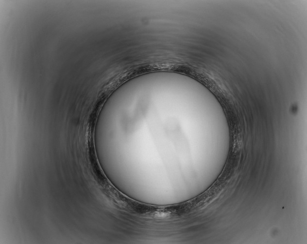X0000099420647200805090752