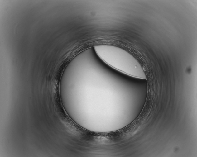 X0000099420649200805090752