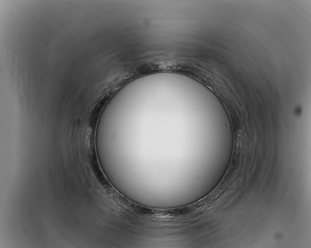 X0000099420650200805090752