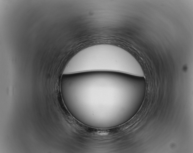 X0000099420651200805090752