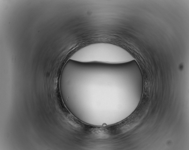 X0000099420652200805090752