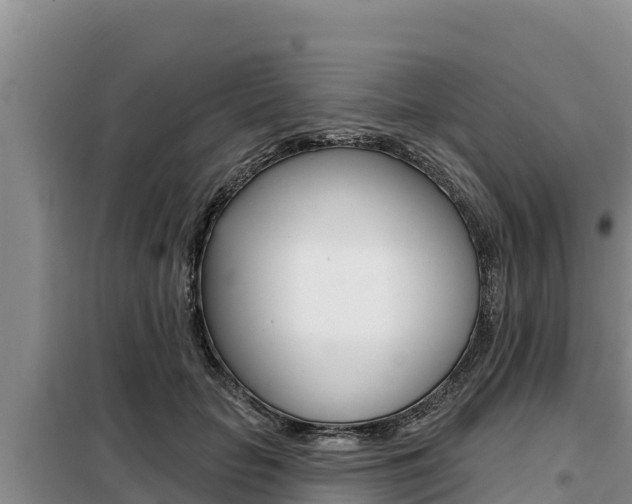 X0000099420653200805090752