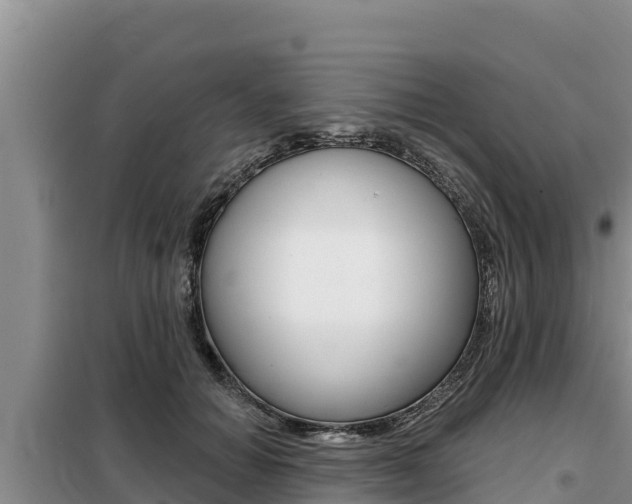 X0000099420654200805090752