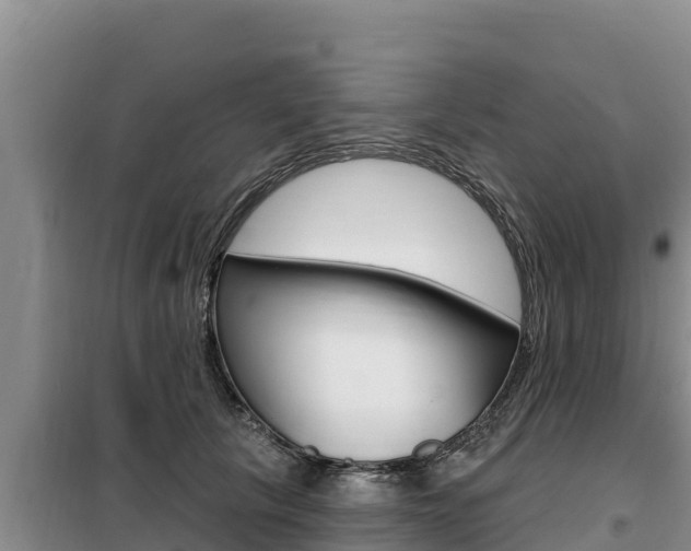 X0000099420657200805090752