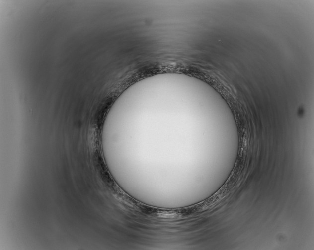 X0000099420659200805090752