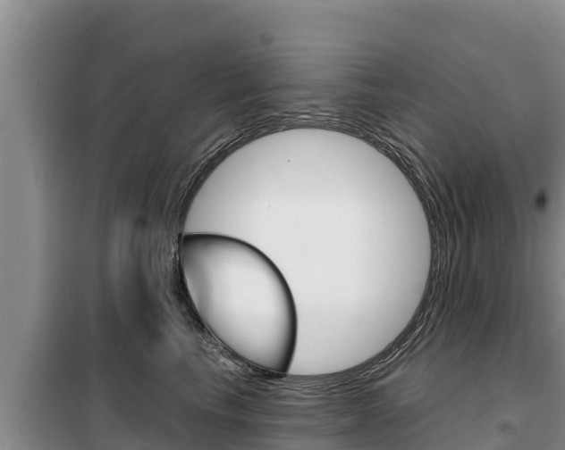 X0000099420665200805090752