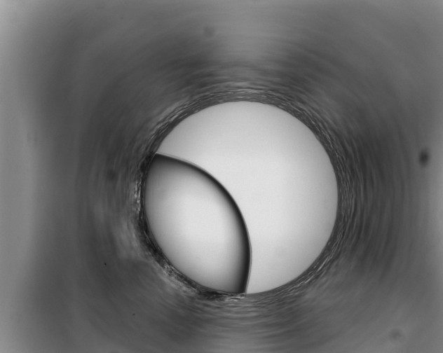 X0000099420666200805090752