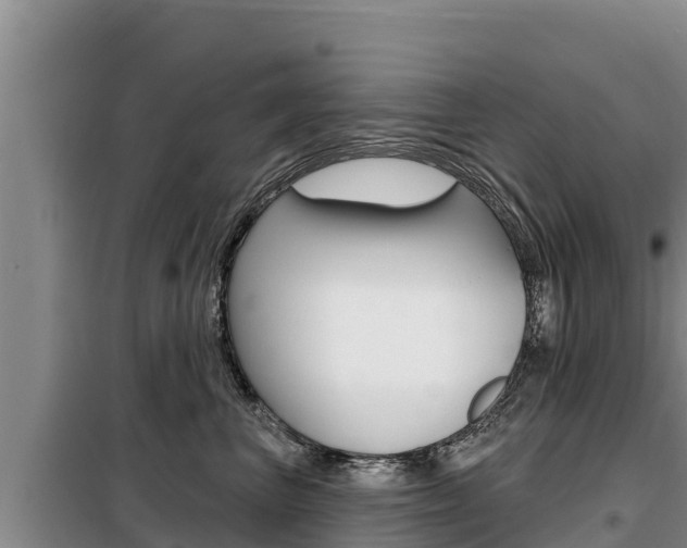 X0000099420667200805090752
