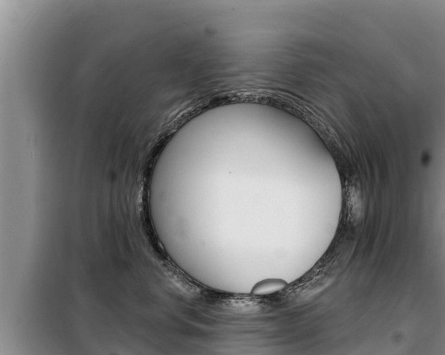 X0000099420668200805090752