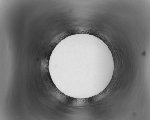 X0000099420672200805090752