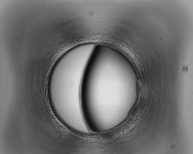 X0000099420673200805090751