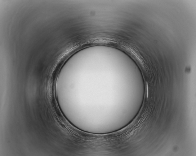 X0000099420675200805090751