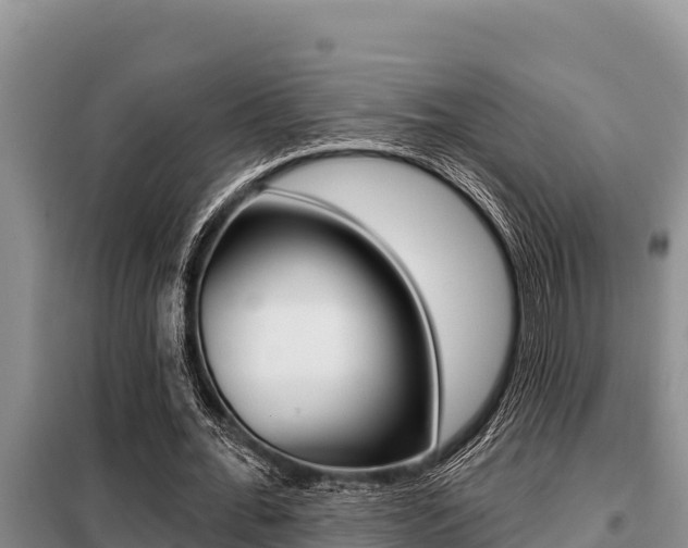 X0000099420676200805090751
