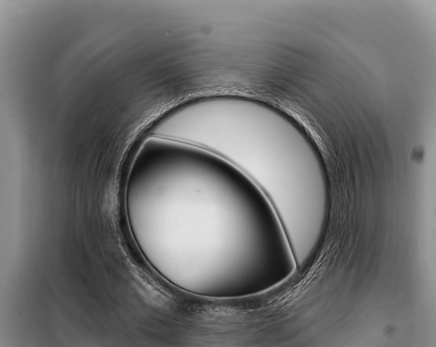 X0000099420677200805090751