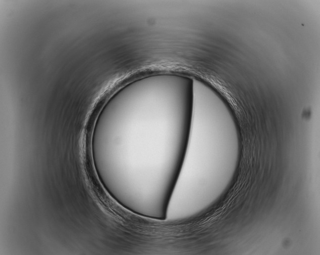 X0000099420678200805090751