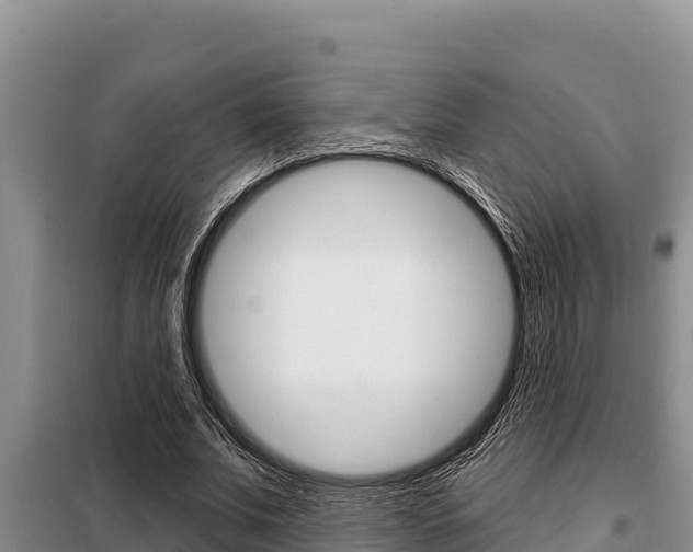 X0000099420679200805090751