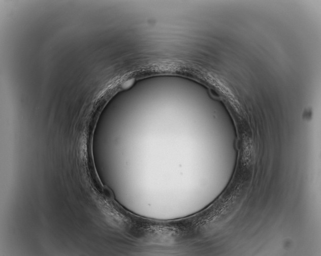 X0000099420681200805090751