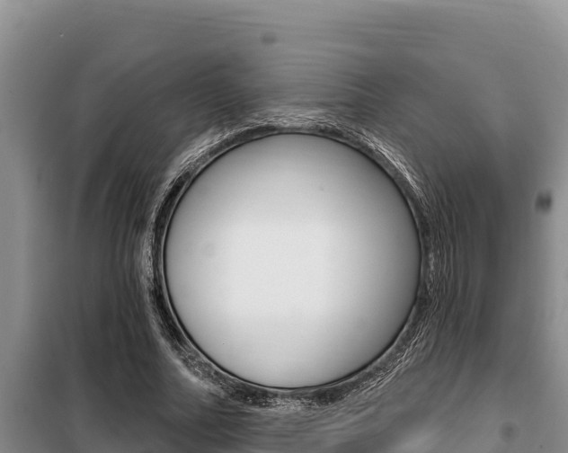 X0000099420682200805090751