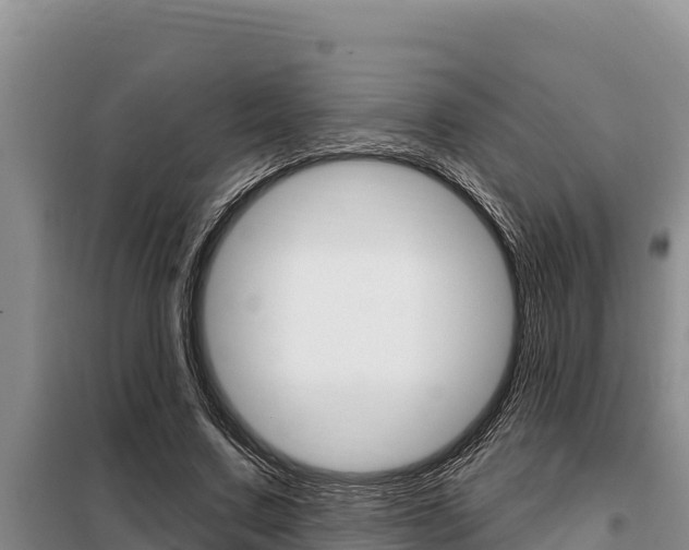 X0000099420683200805090751