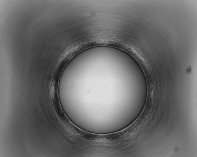 X0000099420685200805090751