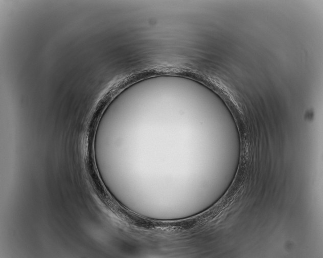 X0000099420686200805090751