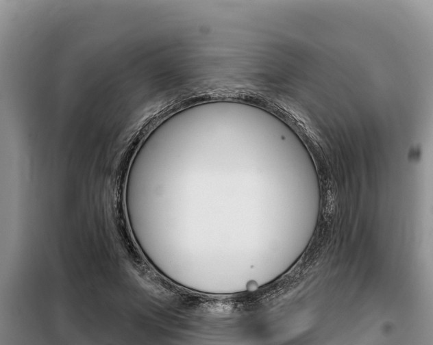 X0000099420687200805090751