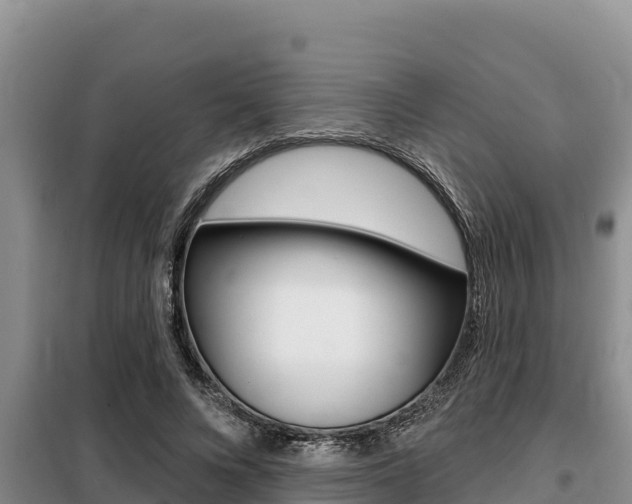 X0000099420688200805090751