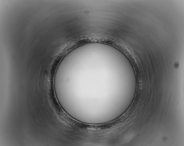 X0000099420690200805090751