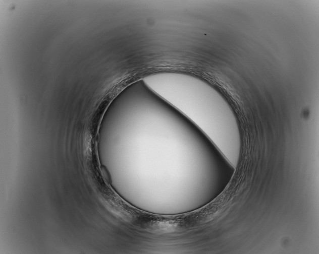 X0000099420692200805090751