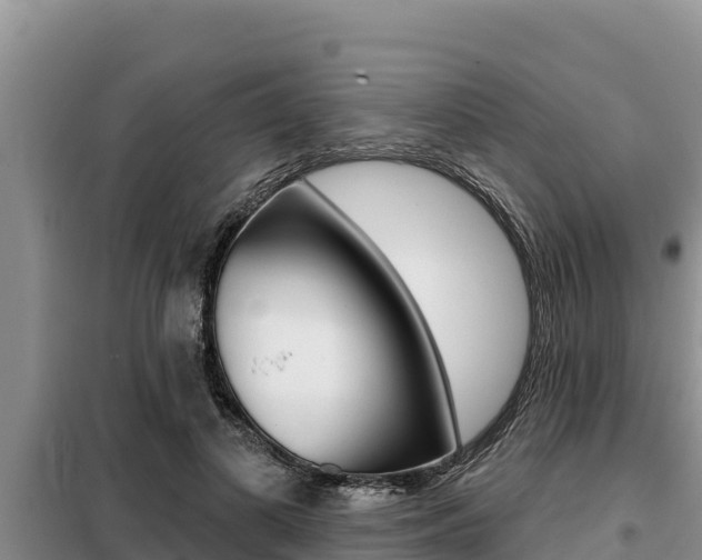 X0000099420693200805090751