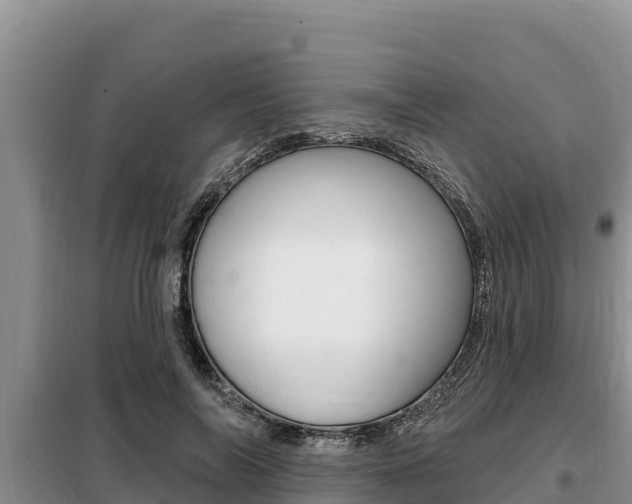 X0000099420694200805090751